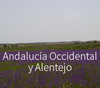 West Alentejo and Andalucía: two political transitions